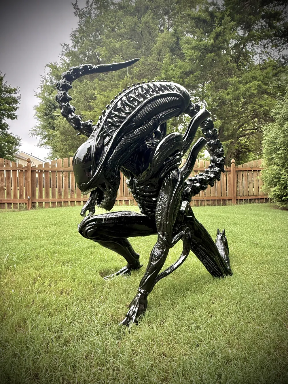 Life Size Xenomorph Alien Model - 5ft Tall!, photo 4 of 5 - Life Size Xenomorph Alien Model - 5ft Tall! Art